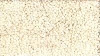 104 Cream Illusion