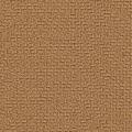 559 Tan