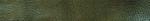 576 Moss