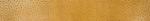 577 Mustard