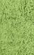 Vivid Lime