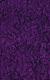 Vivid Purple