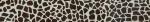 554 Exotic Giraffe