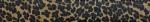 558 Jungle Leopard