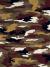 View: 1709 / Multi