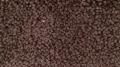View: Wool Eloquence