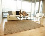 Big Sur Jute Rug