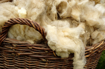 View: How to Clean Wool Area Rugs